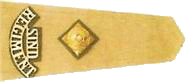 Pak Army Ranks and Badges 1