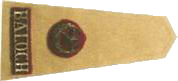 Pak Army Ranks and Badges Moon Star