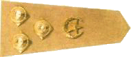 Pak Army Ranks and Badges crescent and 3 Star