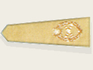 Pak Army Ranks and Badges