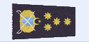 Pakistan Air Force Ranks 1 with Crescent and three 4 Stars 