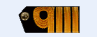 Pakistan Navy Ranks 4 Golden Strips