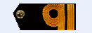 Pakistan Navy Ranks 2 Golden Strip