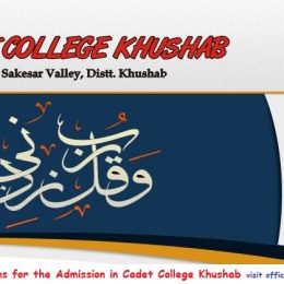 Cadet College Khushab Admission Entry Test 2024