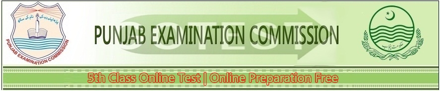 Punjab 5th Class Model Papers Download Past Sample Papers for PEC