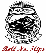 BISE Peshawar Board Roll No Slip 2024 9th 10th Download