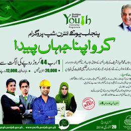PYIP Selected Candidates List Punjab Youth Internship Program City Wise Final Mail Message Status
