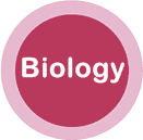 Biology MDCAT Test Online Mcqs