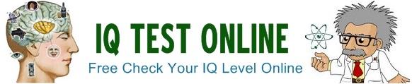  IQ Test Online