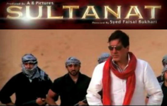 The Pakistani Movie Sultanat