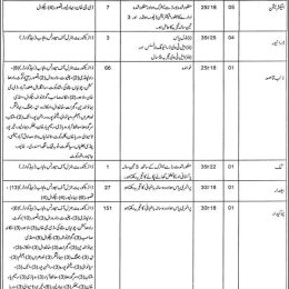 Punjab Sports Board Lahore Jobs 2023 Eligibility Last Date