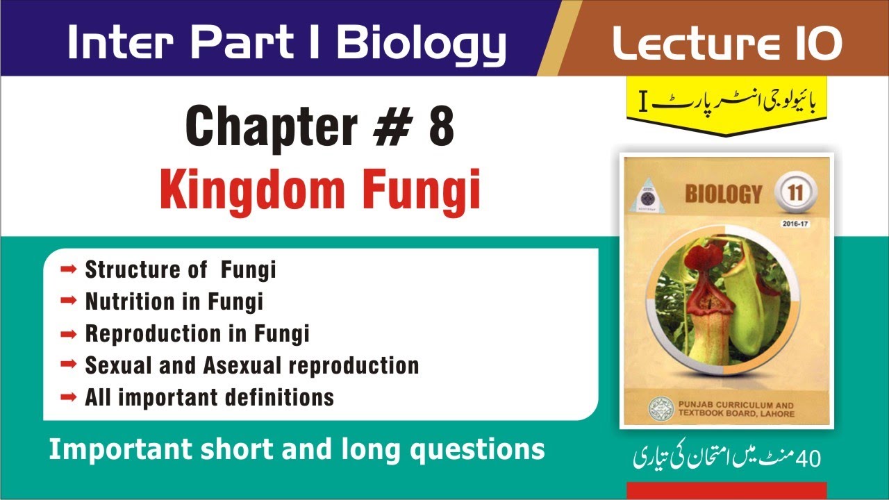 11th Class Biology Chapter 8 Fungi Short Question Answers