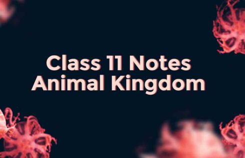 Chapter 10 kingdom animalia