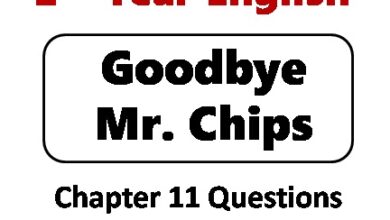 Good Bye Mr-Chips-chapter-11