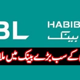 HBL Cash Officers Job 2023 for Fresh Graduates Students in Pakistan Apply now