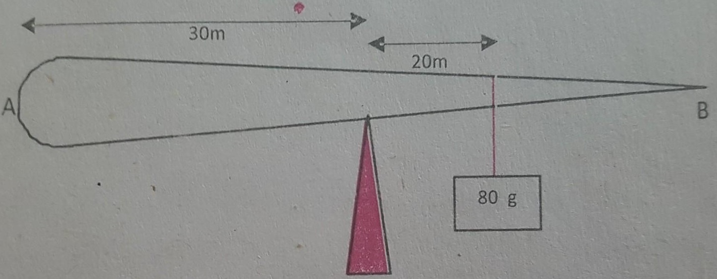 Punjab 11th Class Physics Chapter 2 Vectors And Equilibrium Mcqs Test Online Solved With Right 1713