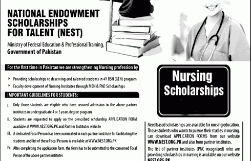 NEST BS MS and PhD Nursing Scholarship 2023