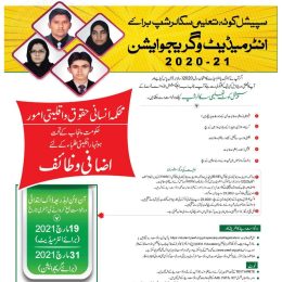 PEEF Scholarships 2023 Application Forms Download Online and Selected Students List