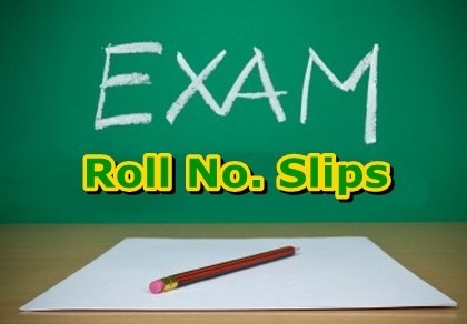 Punjab Matric Supply Exam 2023 Roll No Slips
