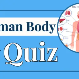 human body quiz