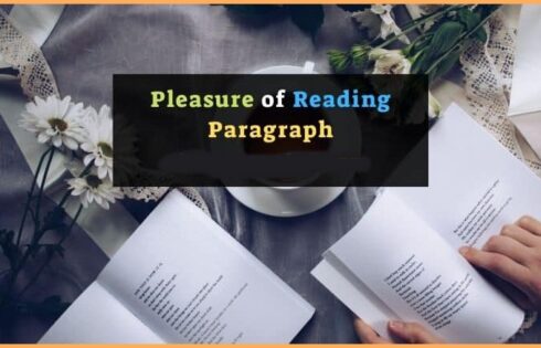 Pleasures of Reading Essay 