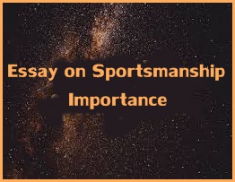 Sportsmanship Essay