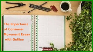 The Importance of Consumer Movement Essay