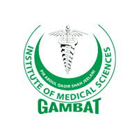 Gambat Medical College Admission 2023 