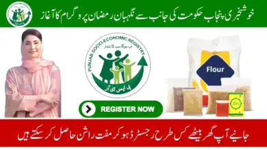 PSER Ramzan Package 2025 Registration Online pser.punjab.gov.pk